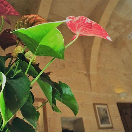 Encanto Vegetarian Bed & Breakfast Panzió Xagħra Kültér fotó