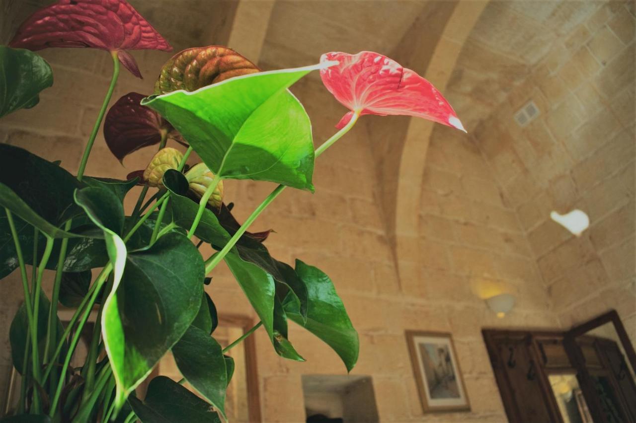 Encanto Vegetarian Bed & Breakfast Panzió Xagħra Kültér fotó